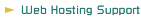 Web Hosting Support