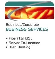 NETPLEX Business Services